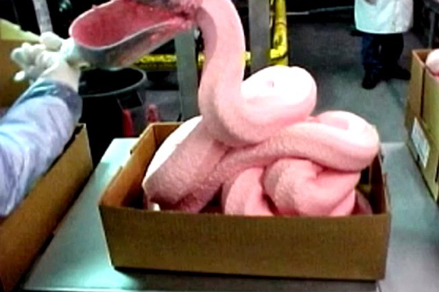 Tyson Exec Calls Pink Slime “Safe, Wholesome, Nutritious”