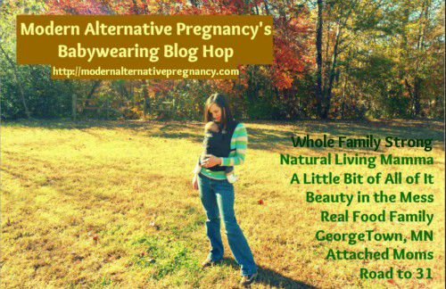 Baby Wearing Blog Hop- Everything You Need To Know About Babywearing and GIVEAWAYS!!! ~ RealFoodFamily.com