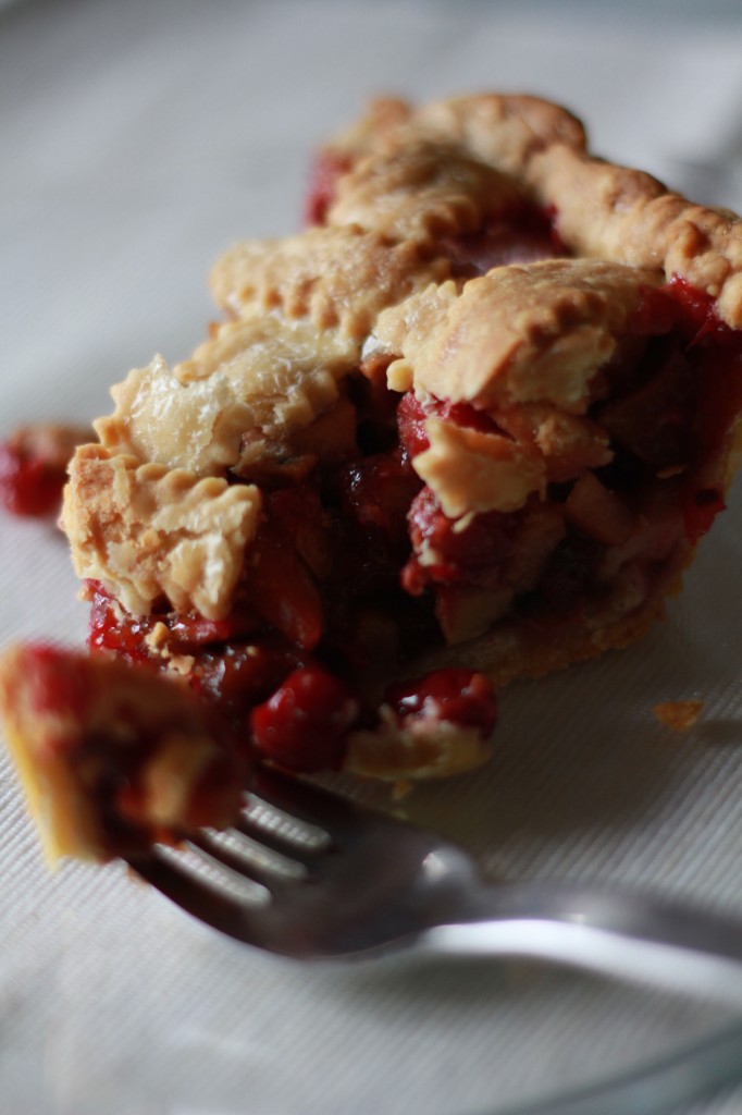 Apple Cranberry Pie and Tips for Making Any Pie ~ Real Food Family