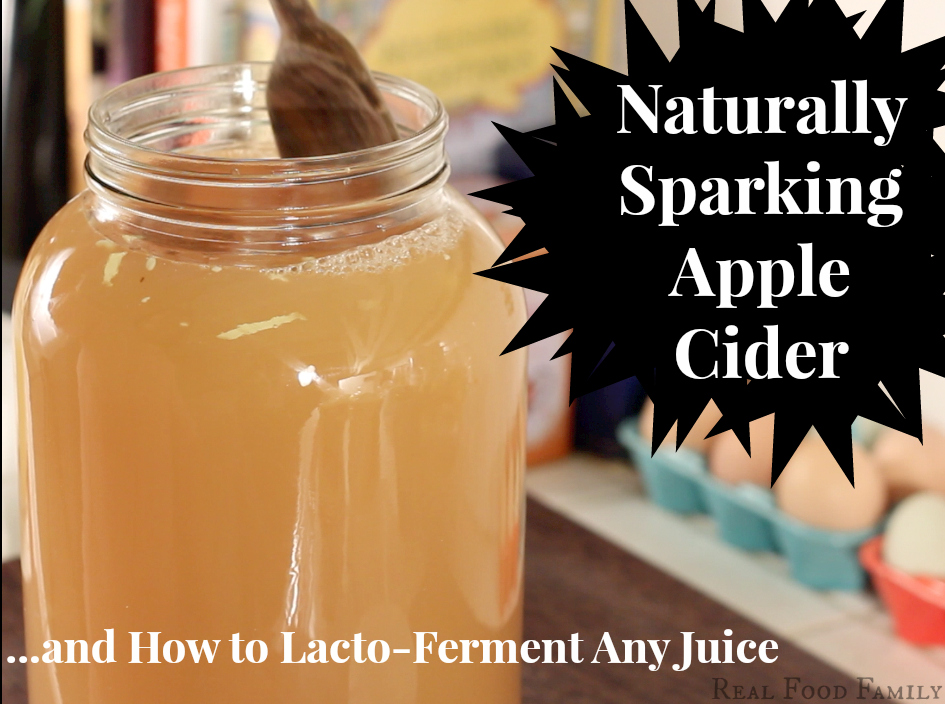 Naturally Sparkling Apple Cider and How To Lacto-Ferment Any Juice ~ Real Food Family