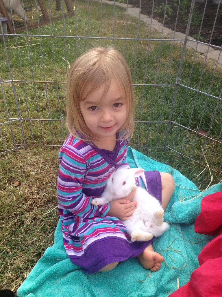 Urban Homesteading: Getting Started with Rabbits ~ Real Food Family