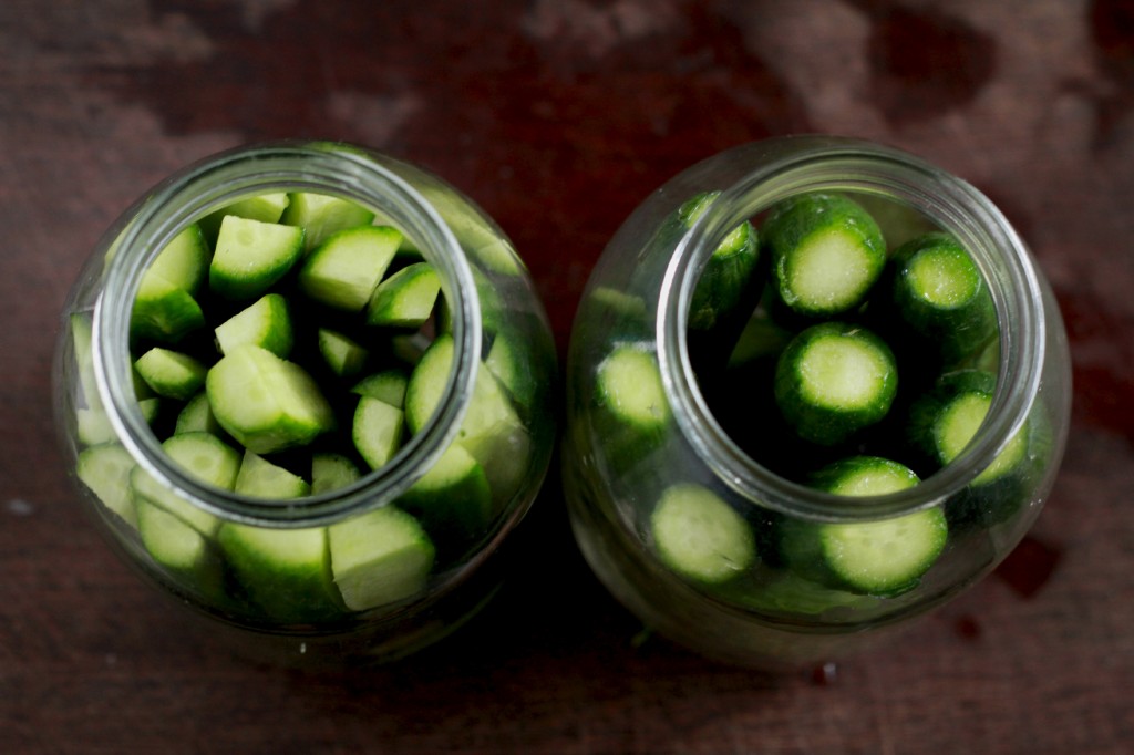 Homemade Pickles {Lacto Fermented} - Real Food Family #realfood #lactofermentedfoods #culturedfood #realfoodrecipes #pickles