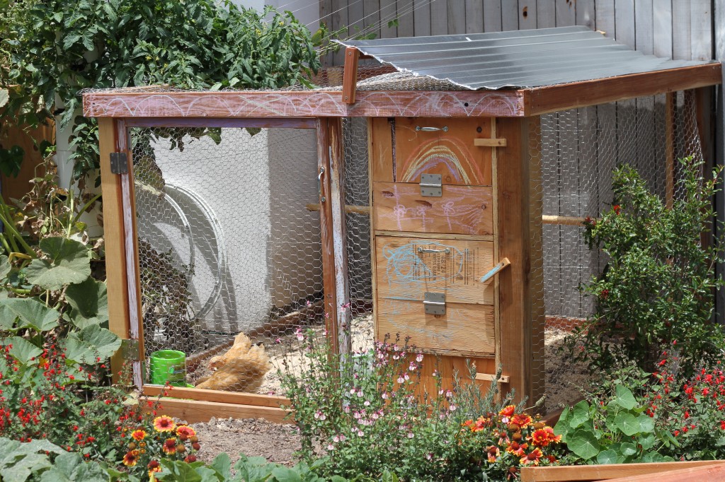 Backyard Chicken Coop ~ Real Food Family