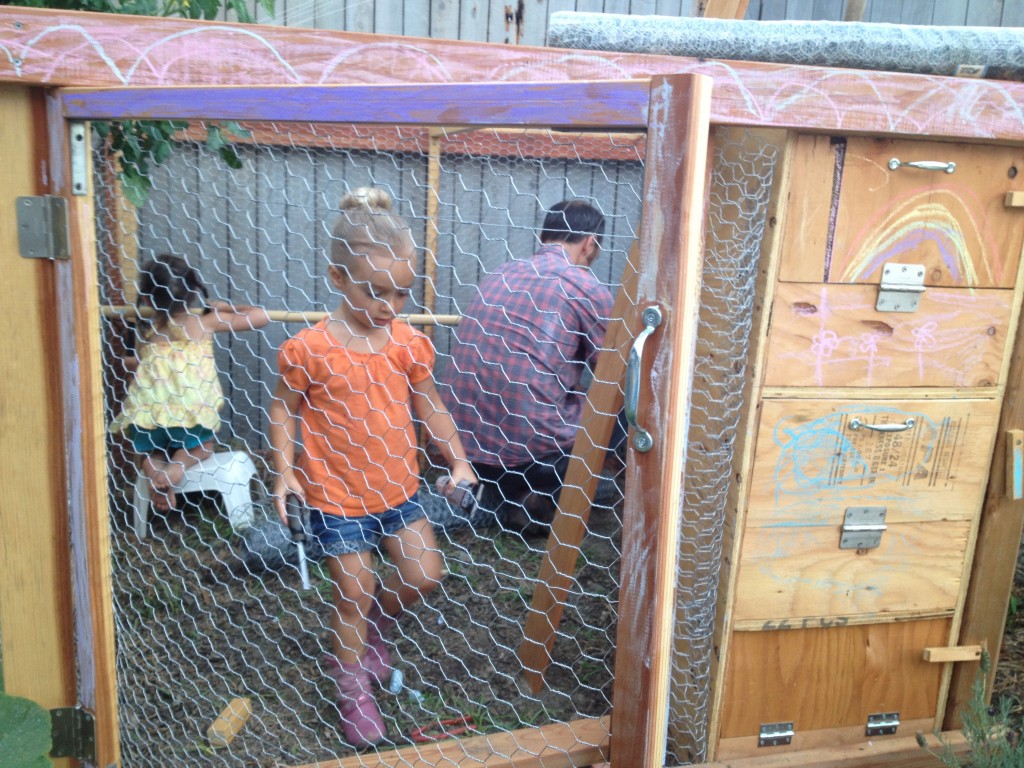 Backyard Chicken Coop ~ Real Food Family