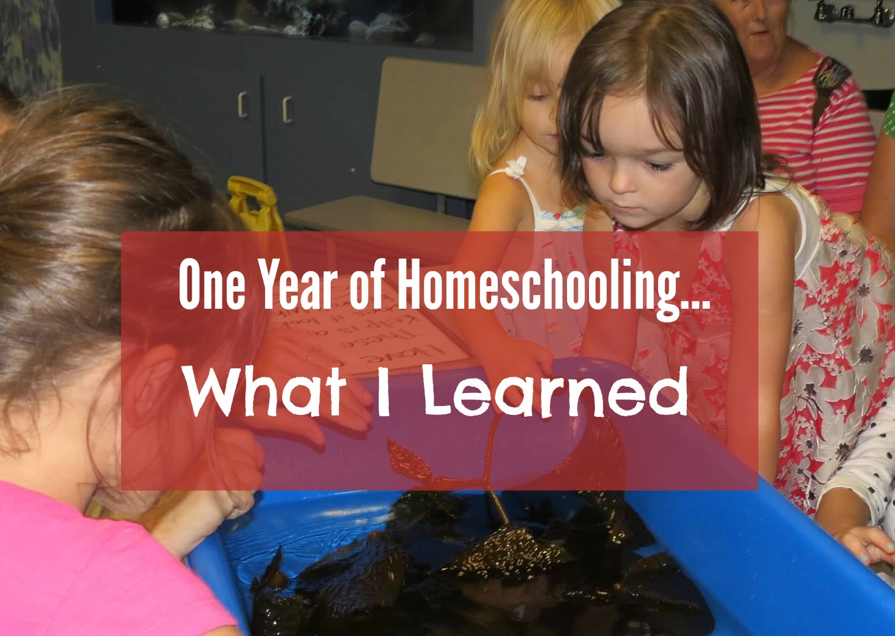 What I Learned Our First Year of Homeschooling